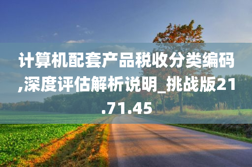 计算机配套产品税收分类编码,深度评估解析说明_挑战版21.71.45