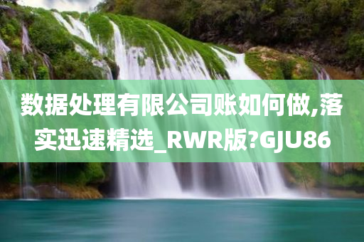 数据处理有限公司账如何做,落实迅速精选_RWR版?GJU86