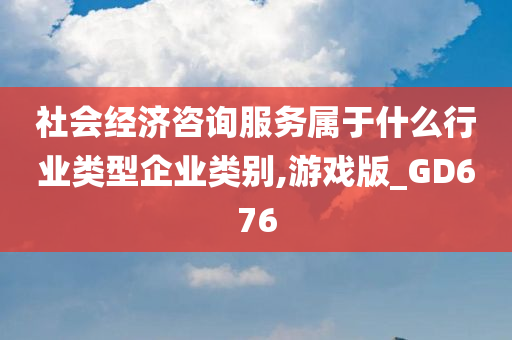 社会经济咨询服务属于什么行业类型企业类别,游戏版_GD676