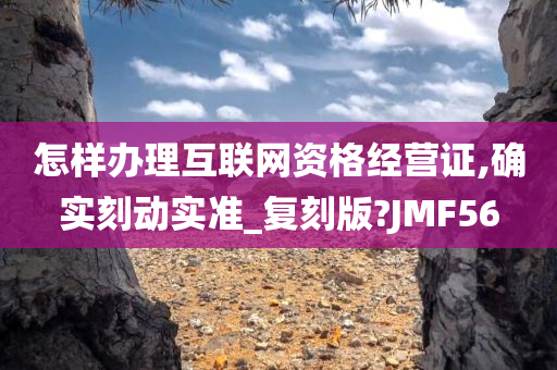 怎样办理互联网资格经营证,确实刻动实准_复刻版?JMF56