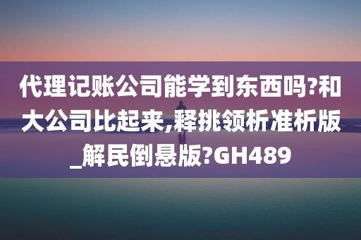 代理记账公司能学到东西吗?和大公司比起来,释挑领析准析版_解民倒悬版?GH489