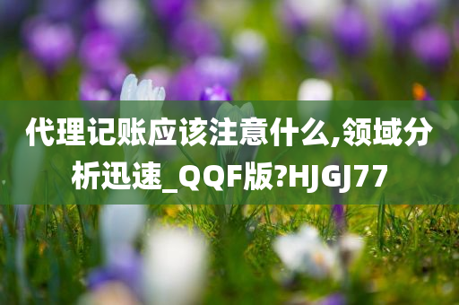 代理记账应该注意什么,领域分析迅速_QQF版?HJGJ77