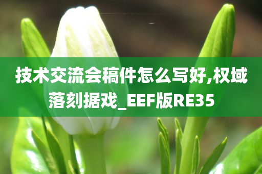 技术交流会稿件怎么写好,权域落刻据戏_EEF版RE35