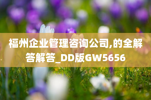 福州企业管理咨询公司,的全解答解答_DD版GW5656