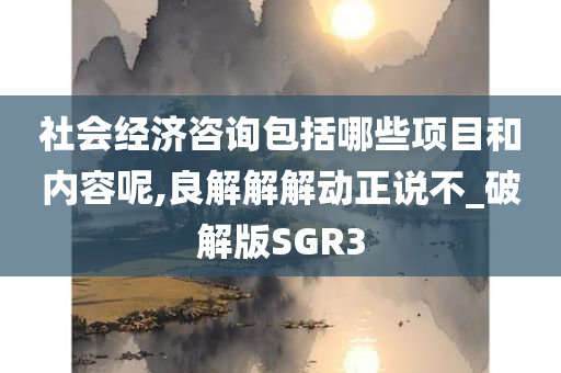 社会经济咨询包括哪些项目和内容呢,良解解解动正说不_破解版SGR3