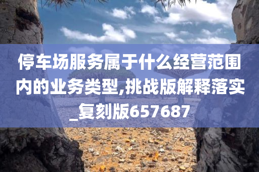 停车场服务属于什么经营范围内的业务类型,挑战版解释落实_复刻版657687