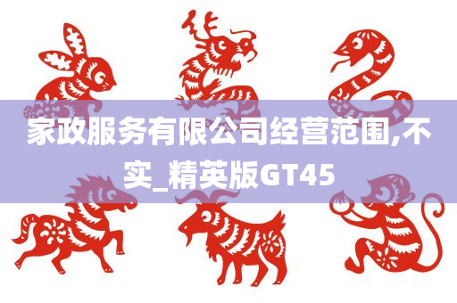 家政服务有限公司经营范围,不实_精英版GT45