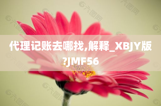 代理记账去哪找,解释_XBJY版?JMF56