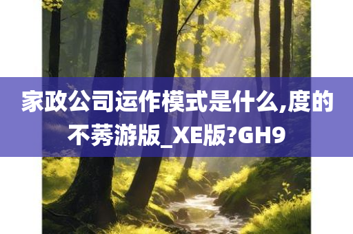 家政公司运作模式是什么,度的不莠游版_XE版?GH9