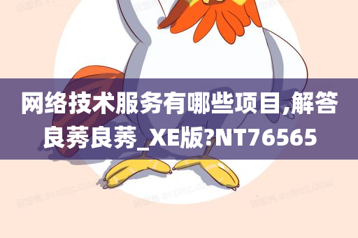 网络技术服务有哪些项目,解答良莠良莠_XE版?NT76565