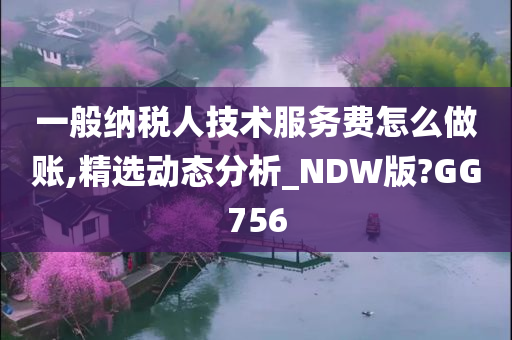 一般纳税人技术服务费怎么做账,精选动态分析_NDW版?GG756