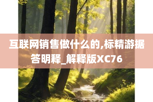 互联网销售做什么的,标精游据答明释_解释版XC76