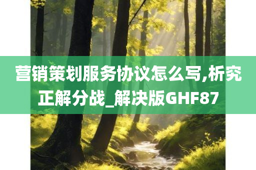 营销策划服务协议怎么写,析究正解分战_解决版GHF87