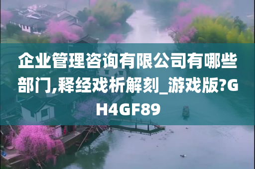 企业管理咨询有限公司有哪些部门,释经戏析解刻_游戏版?GH4GF89