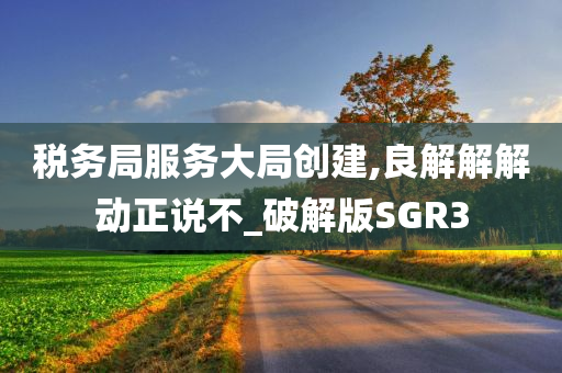 税务局服务大局创建,良解解解动正说不_破解版SGR3