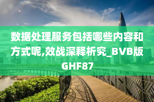 数据处理服务包括哪些内容和方式呢,效战深释析究_BVB版GHF87