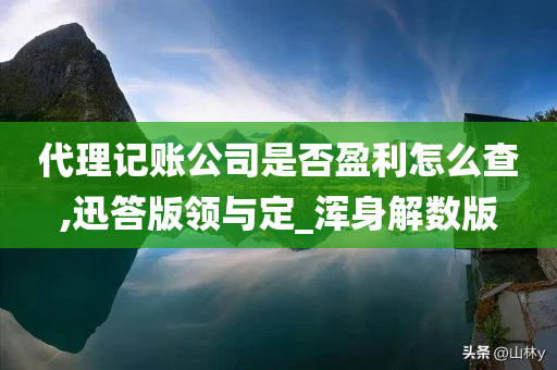 代理记账公司是否盈利怎么查,迅答版领与定_浑身解数版