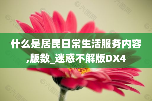 什么是居民日常生活服务内容,版数_迷惑不解版DX4