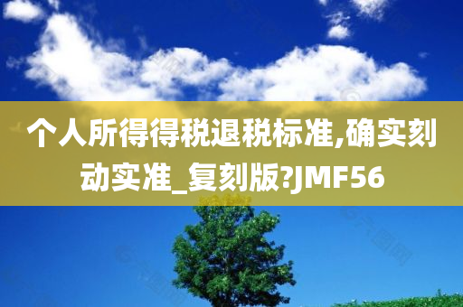 个人所得得税退税标准,确实刻动实准_复刻版?JMF56