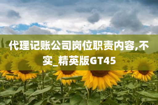 代理记账公司岗位职责内容,不实_精英版GT45