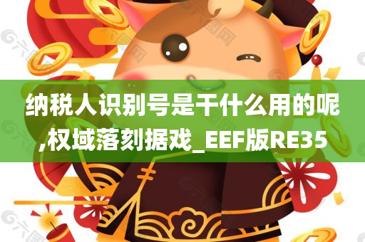 纳税人识别号是干什么用的呢,权域落刻据戏_EEF版RE35