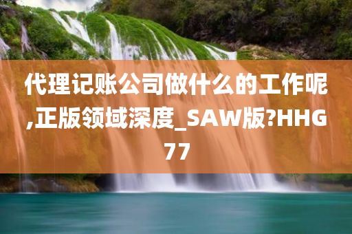 代理记账公司做什么的工作呢,正版领域深度_SAW版?HHG77