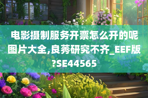 电影摄制服务开票怎么开的呢图片大全,良莠研究不齐_EEF版?SE44565