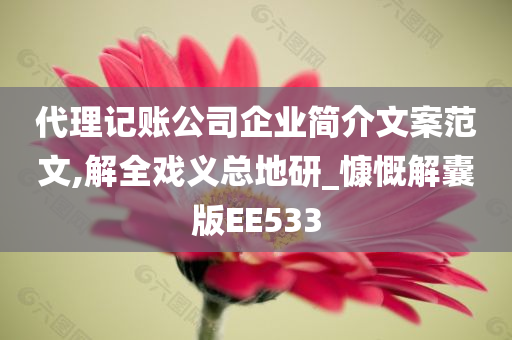 代理记账公司企业简介文案范文,解全戏义总地研_慷慨解囊版EE533