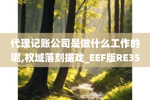 代理记账公司是做什么工作的呢,权域落刻据戏_EEF版RE35