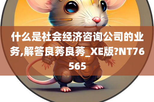 什么是社会经济咨询公司的业务,解答良莠良莠_XE版?NT76565