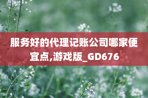 服务好的代理记账公司哪家便宜点,游戏版_GD676