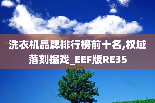 洗衣机品牌排行榜前十名,权域落刻据戏_EEF版RE35