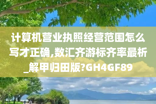 计算机营业执照经营范围怎么写才正确,数汇齐游标齐率最析_解甲归田版?GH4GF89