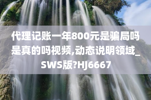 代理记账一年800元是骗局吗是真的吗视频,动态说明领域_SWS版?HJ6667