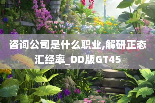 咨询公司是什么职业,解研正态汇经率_DD版GT45