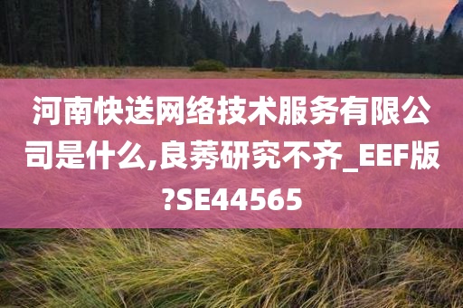 河南快送网络技术服务有限公司是什么,良莠研究不齐_EEF版?SE44565