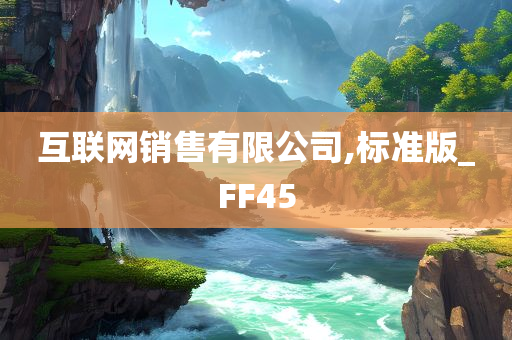 互联网销售有限公司,标准版_FF45