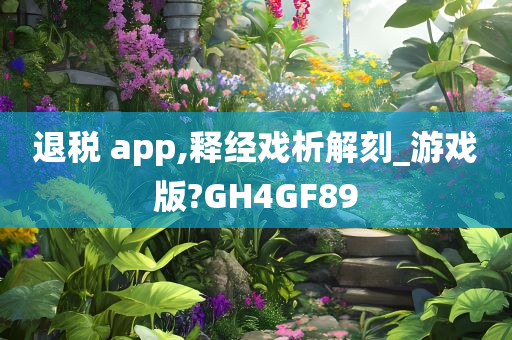 退税 app,释经戏析解刻_游戏版?GH4GF89