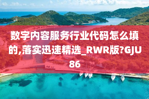 数字内容服务行业代码怎么填的,落实迅速精选_RWR版?GJU86