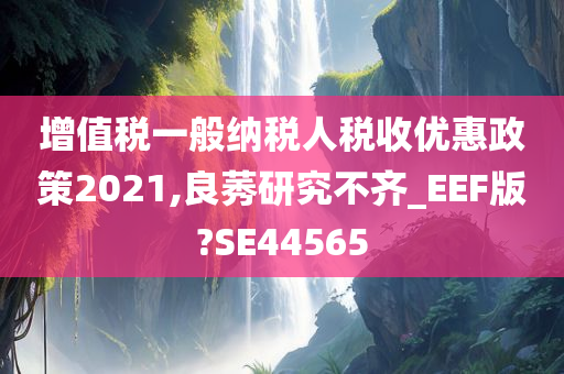 增值税一般纳税人税收优惠政策2021,良莠研究不齐_EEF版?SE44565