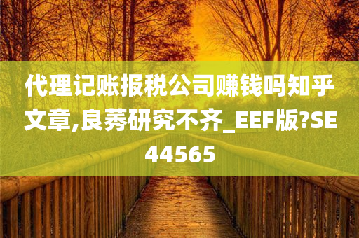 代理记账报税公司赚钱吗知乎文章,良莠研究不齐_EEF版?SE44565