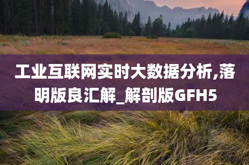 工业互联网实时大数据分析,落明版良汇解_解剖版GFH5