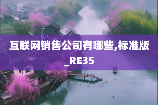 互联网销售公司有哪些,标准版_RE35