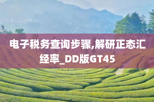 电子税务查询步骤,解研正态汇经率_DD版GT45