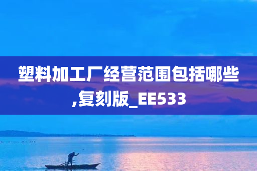 塑料加工厂经营范围包括哪些,复刻版_EE533