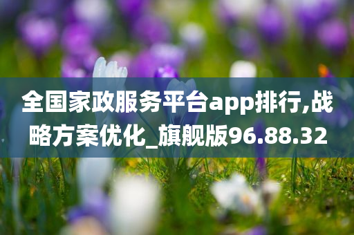 全国家政服务平台app排行,战略方案优化_旗舰版96.88.32