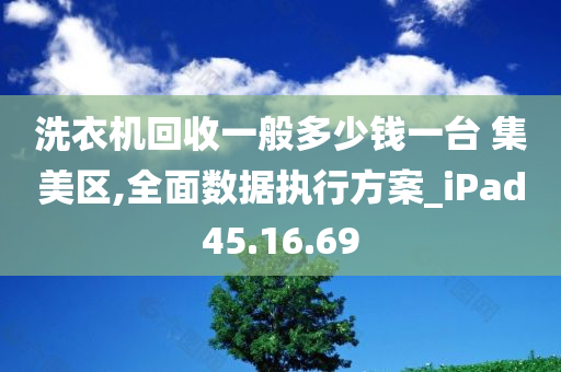 洗衣机回收一般多少钱一台 集美区,全面数据执行方案_iPad45.16.69